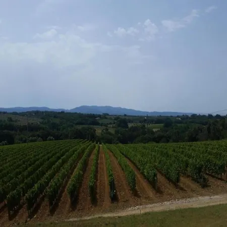 Apartment In Bolgheri Near Tuscan Beaches, Cleaning Included Appartement