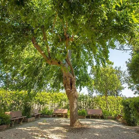 Apartment In Bolgheri Near Tuscan Beaches, Cleaning Included Appartement